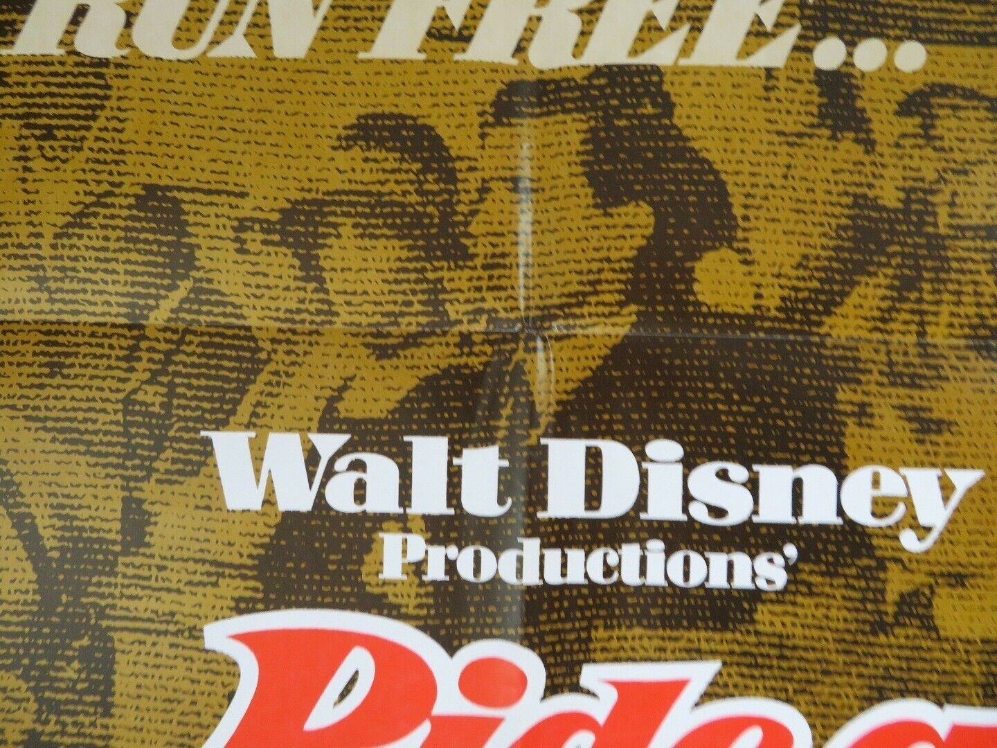 RIDE A WILD PONY US ONE SHEET POSTER MICHAEL CRAIG DON CHAFFEY DISNEY Movie posters