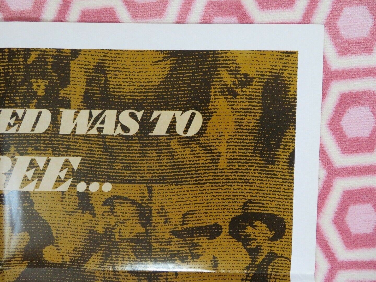 RIDE A WILD PONY US ONE SHEET POSTER MICHAEL CRAIG DON CHAFFEY DISNEY Movie posters