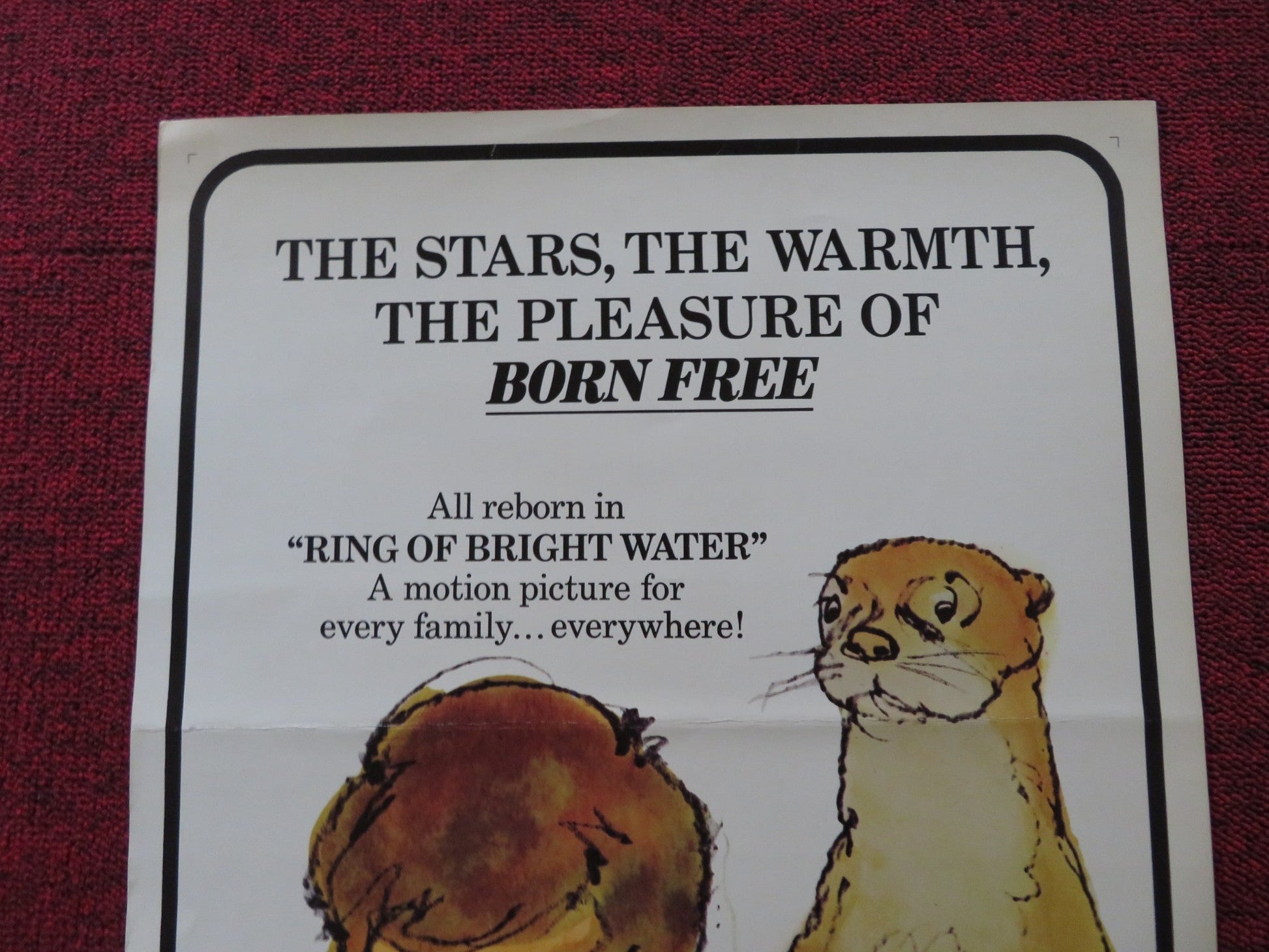 RING OF BRIGHT WATER US INSERT (14"x 36") POSTER BILL TRAVERS V. MCKENNA 1969 Rendezvous Cinema Movie posters