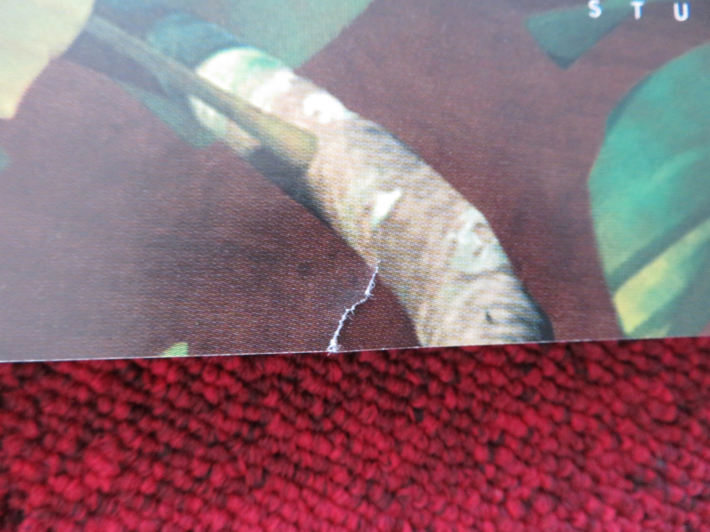 RIO 2 - B UK QUAD (30"x 40") ROLLED POSTER JAKE T. AUSTIN CARLINHOS BROWN 2014 Rendezvous Cinema Movie posters