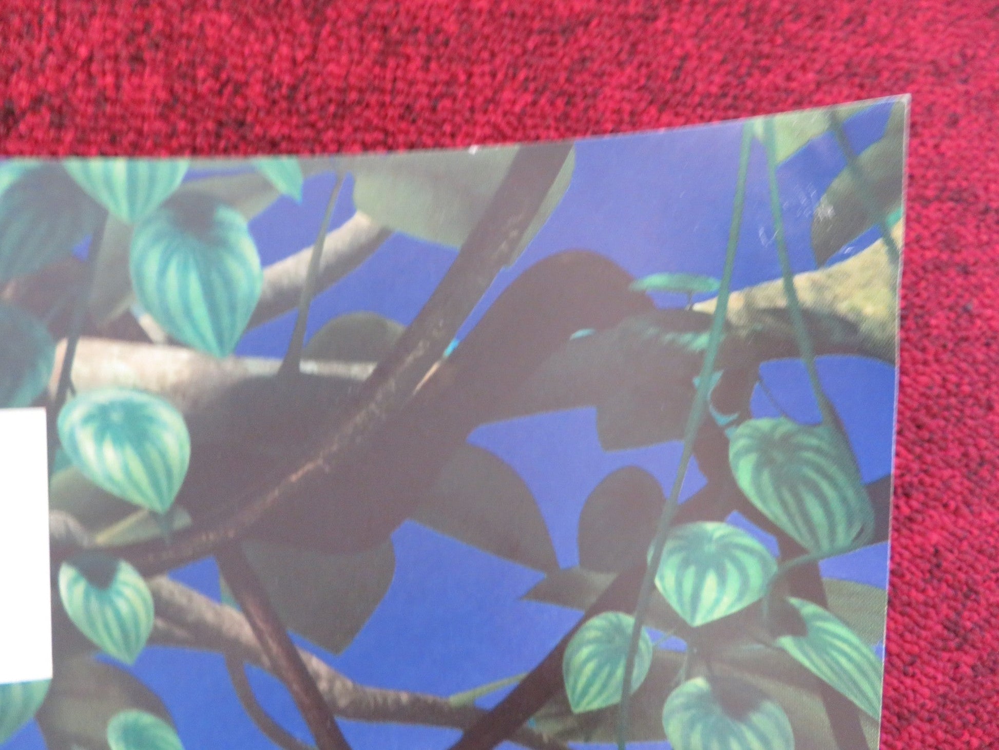 RIO 2 - B UK QUAD (30"x 40") ROLLED POSTER JAKE T. AUSTIN CARLINHOS BROWN 2014 Rendezvous Cinema Movie posters