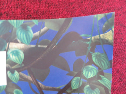 RIO 2 - B UK QUAD (30"x 40") ROLLED POSTER JAKE T. AUSTIN CARLINHOS BROWN 2014 Rendezvous Cinema Movie posters