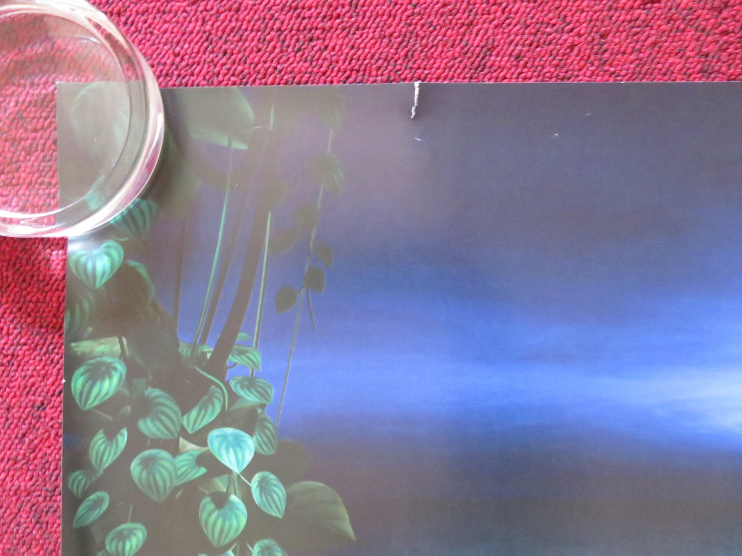 RIO 2 - C UK QUAD (30"x 40") ROLLED POSTER JAKE T. AUSTIN CARLINHOS BROWN 2014 Rendezvous Cinema Movie posters