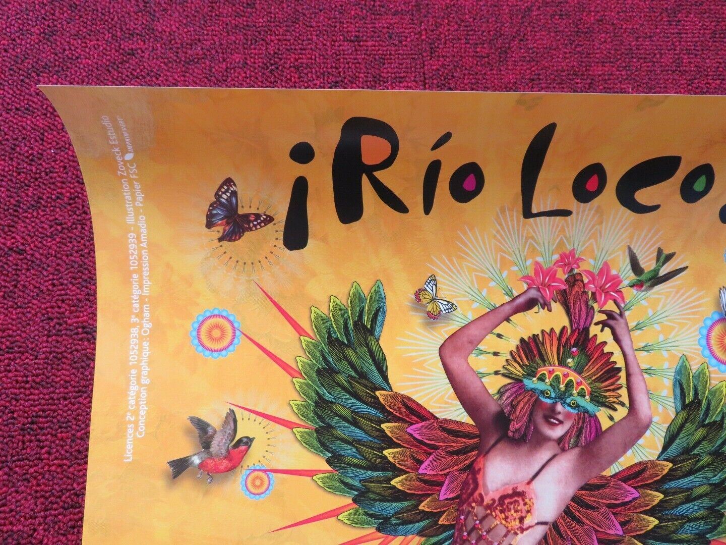 RIO LOCO FRENCH (16"x 23.5") POSTER MUSIC FESTIVAL 2013 Movie posters