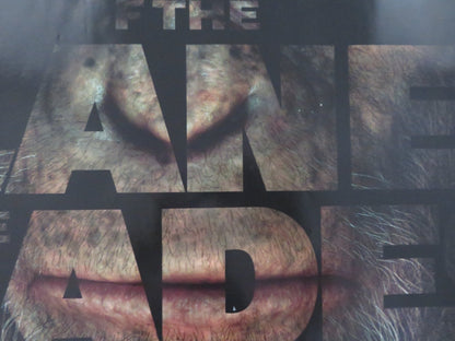 RISE OF THE PLANET OF THE APES UK QUAD (30"x 40") ROLLED POSTER ANDY SERKIS 2011 Rendezvous Cinema Movie posters