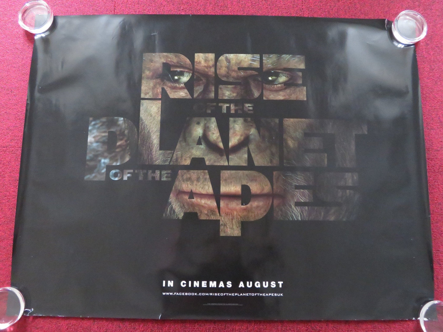 RISE OF THE PLANET OF THE APES UK QUAD (30"x 40") ROLLED POSTER ANDY SERKIS 2011 Rendezvous Cinema Movie posters