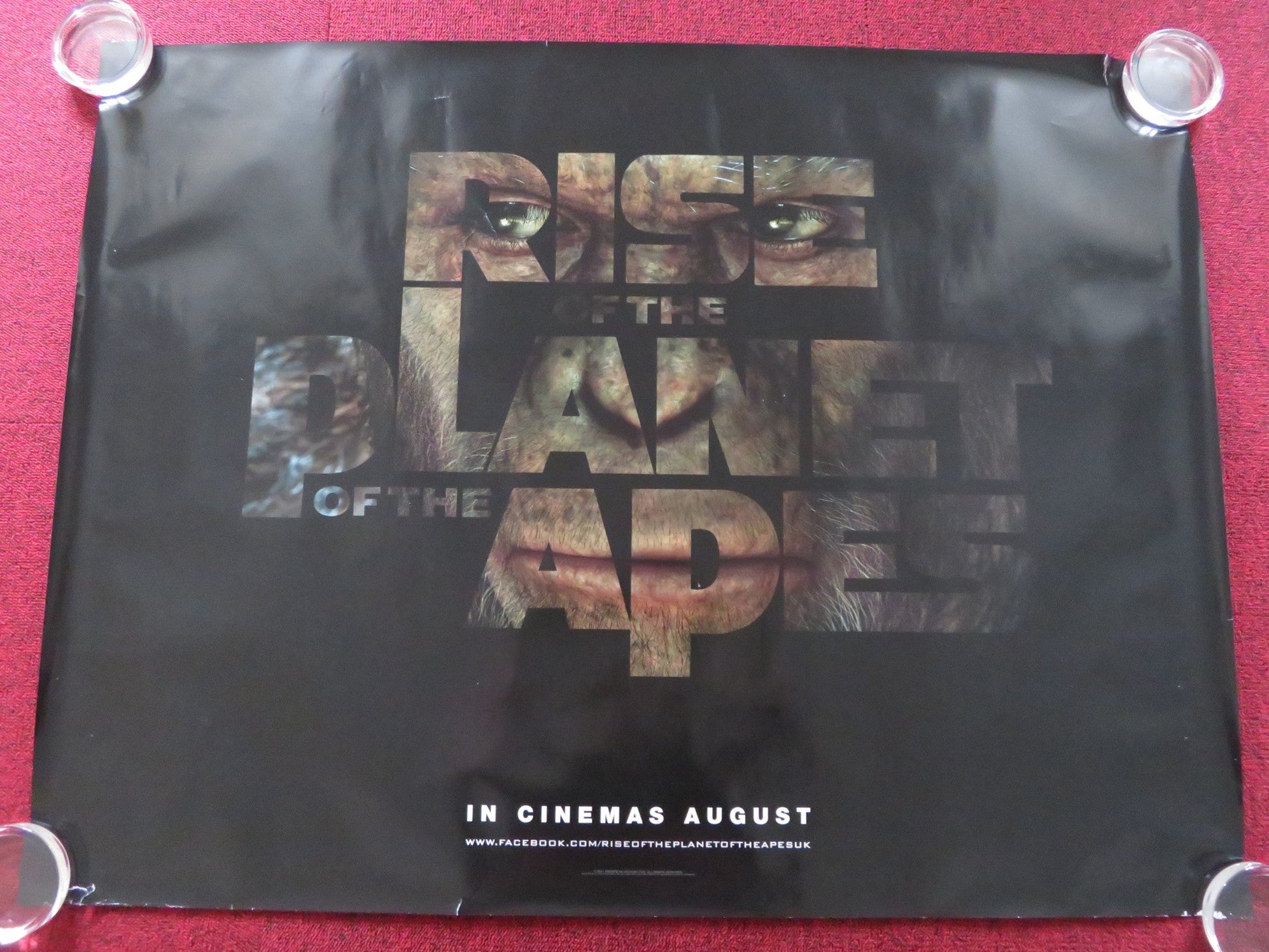 RISE OF THE PLANET OF THE APES UK QUAD (30"x 40") ROLLED POSTER ANDY SERKIS 2011 Rendezvous Cinema Movie posters