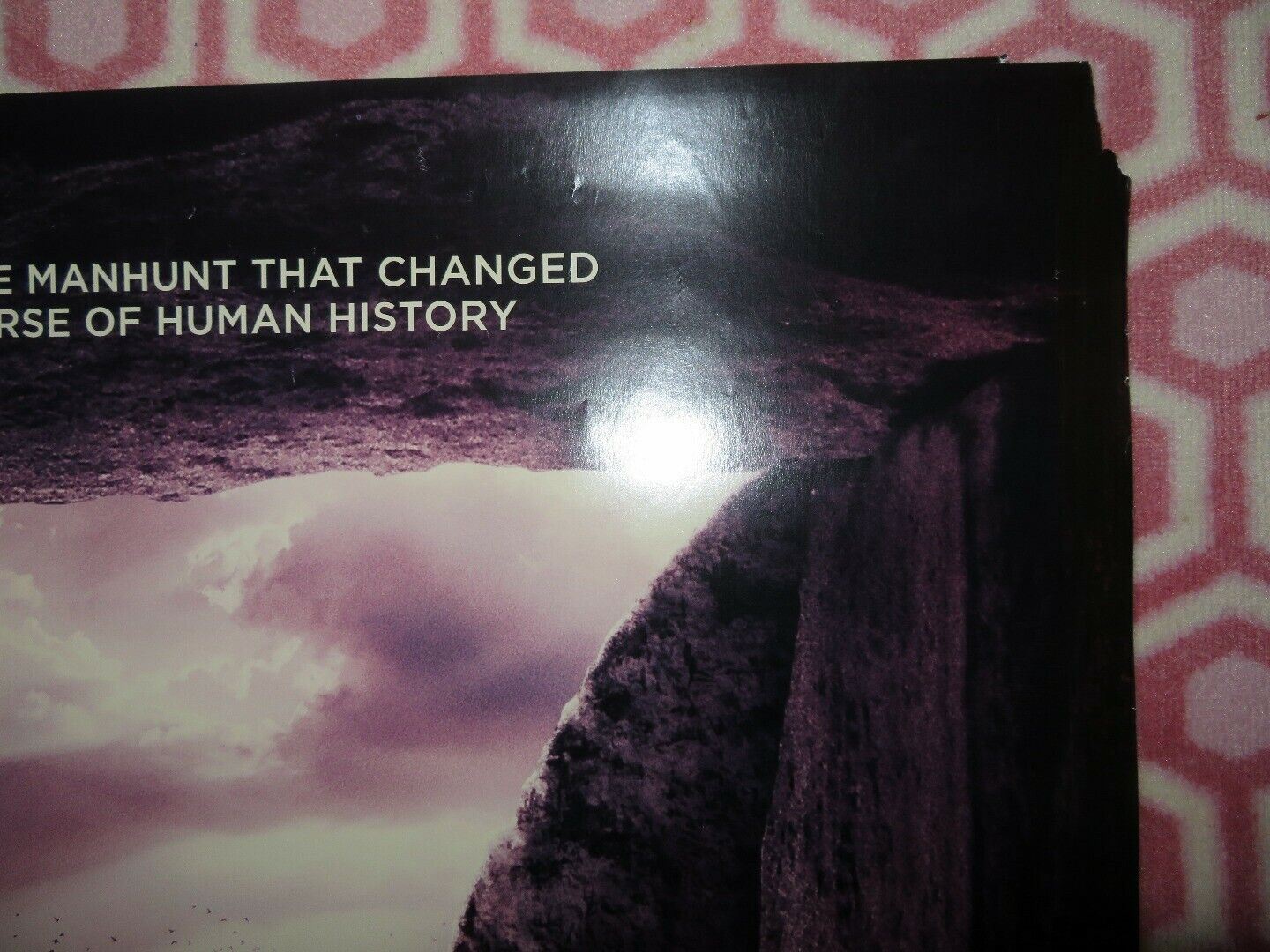 RISEN US ONE SHEET ROLLED POSTER JOSEPH FIENNES TOM FELTON 2016 Movie posters