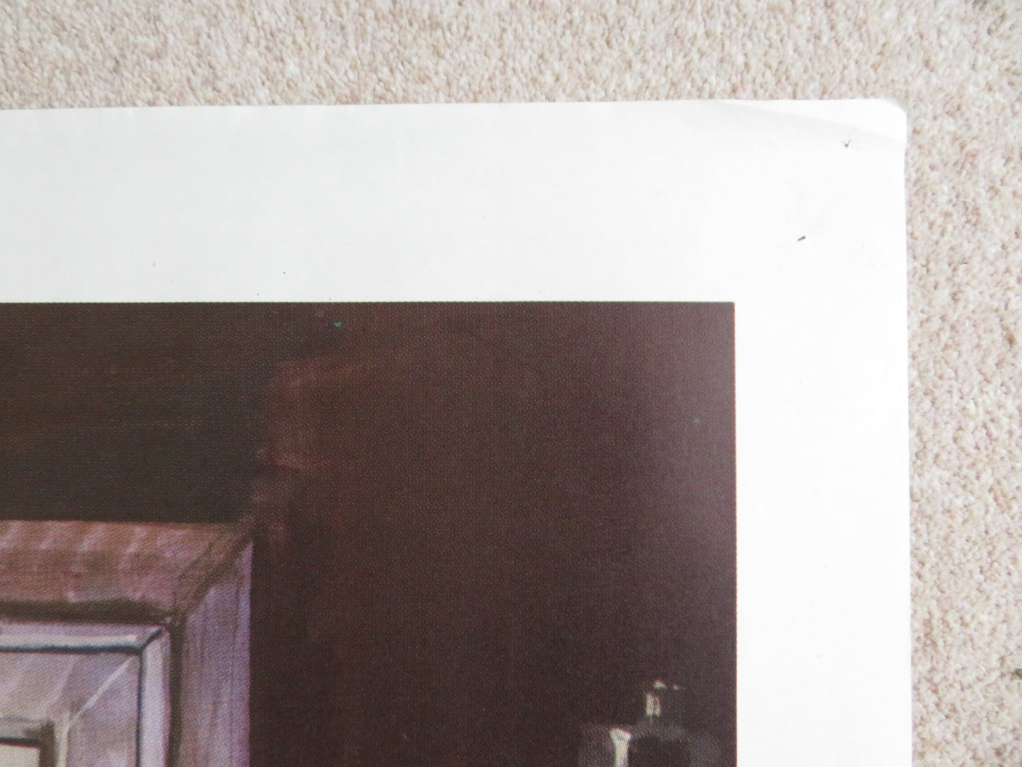 ROAR ITALIAN 2 FOGLIO POSTER TIPPI HEDREN NOEL MARSHALL 1981 Rendezvous Cinema Movie posters