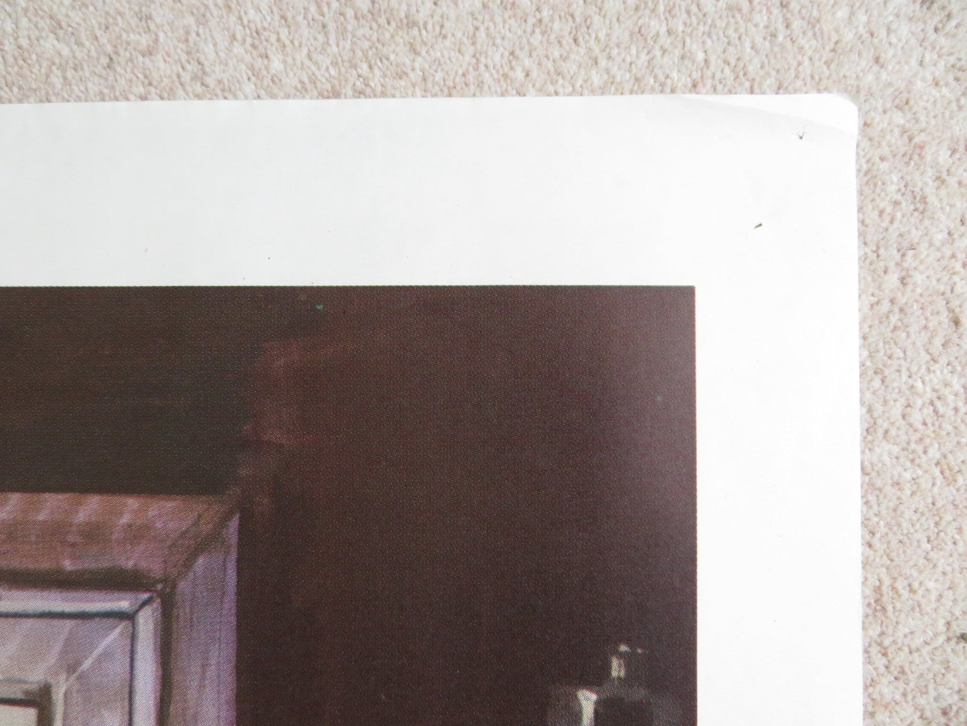 ROAR ITALIAN 2 FOGLIO POSTER TIPPI HEDREN NOEL MARSHALL 1981 Rendezvous Cinema Movie posters