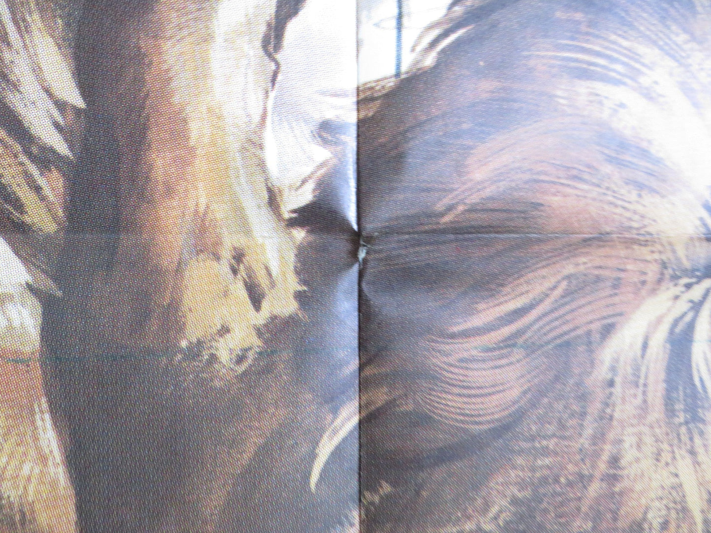 ROAR ITALIAN 2 FOGLIO POSTER TIPPI HEDREN NOEL MARSHALL 1981 Rendezvous Cinema Movie posters