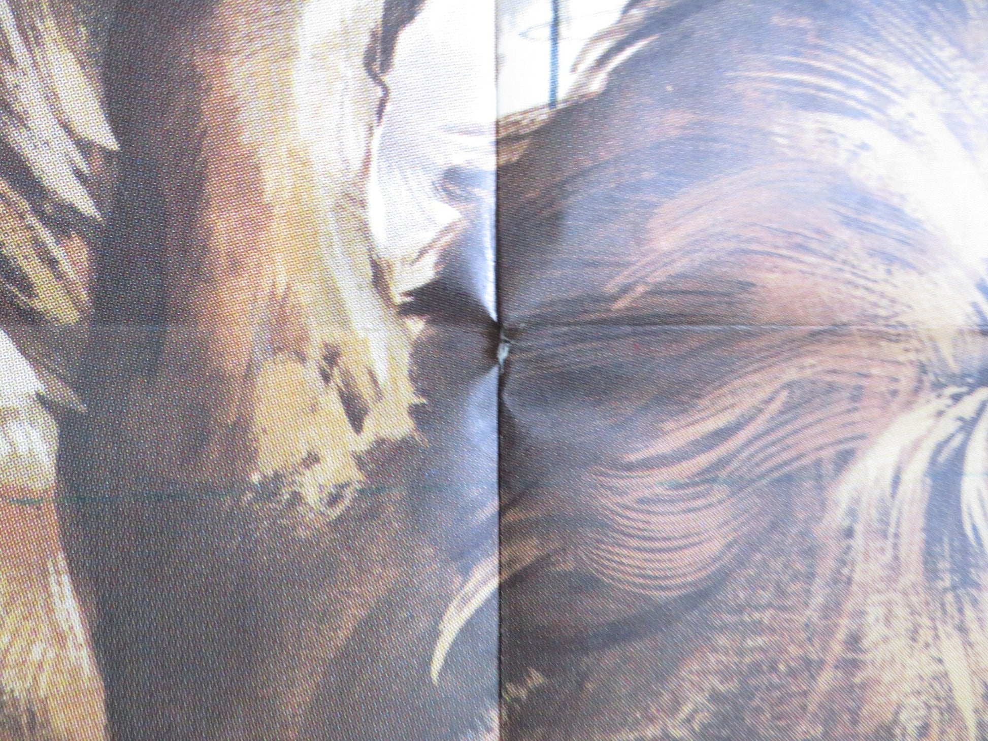 ROAR ITALIAN 2 FOGLIO POSTER TIPPI HEDREN NOEL MARSHALL 1981 Rendezvous Cinema Movie posters