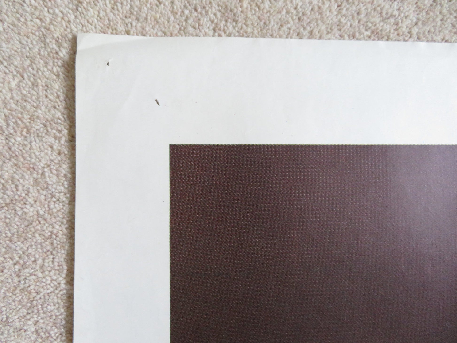 ROAR ITALIAN 2 FOGLIO POSTER TIPPI HEDREN NOEL MARSHALL 1981 Rendezvous Cinema Movie posters