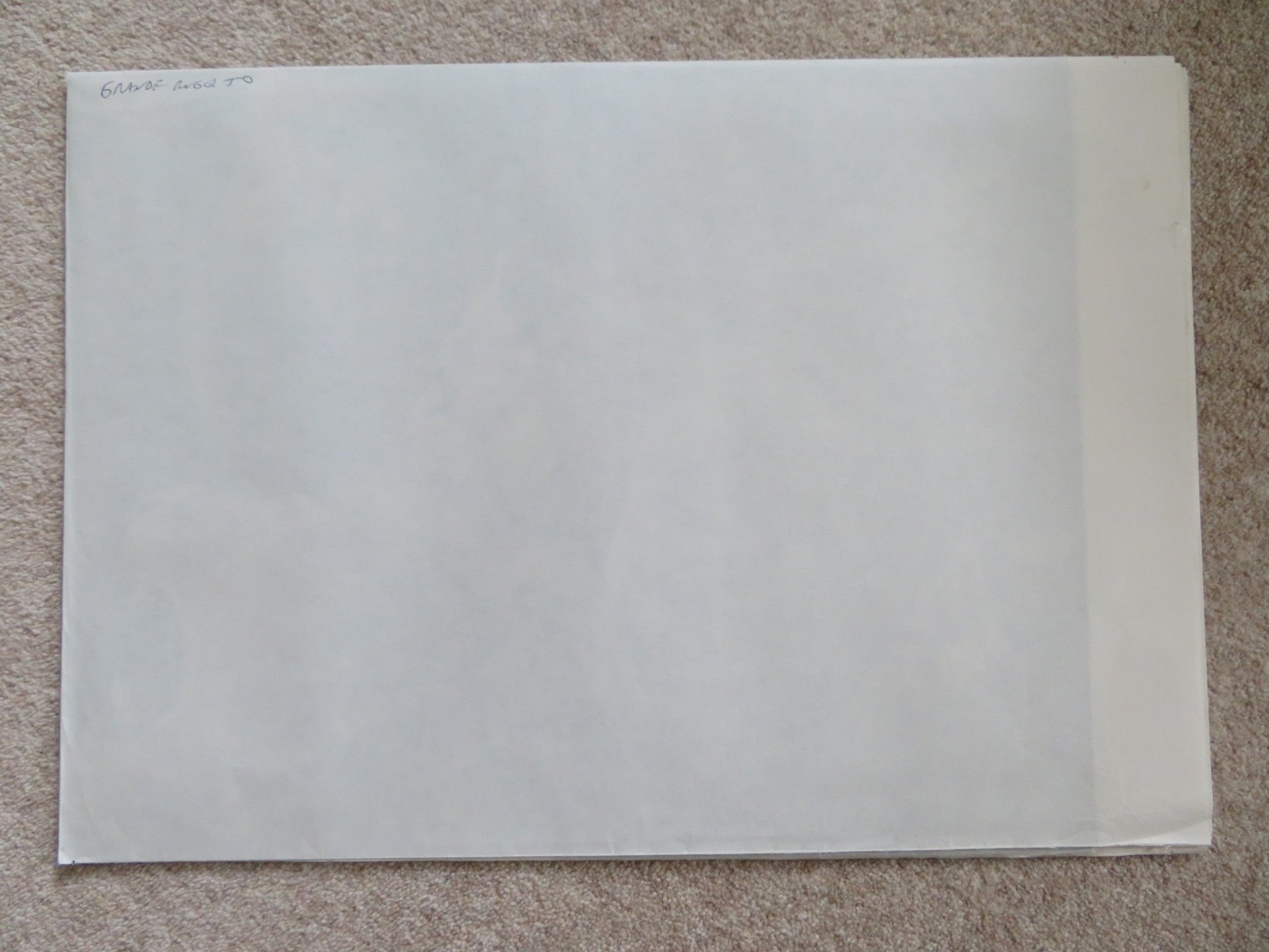 ROAR ITALIAN 2 FOGLIO POSTER TIPPI HEDREN NOEL MARSHALL 1981 Rendezvous Cinema Movie posters