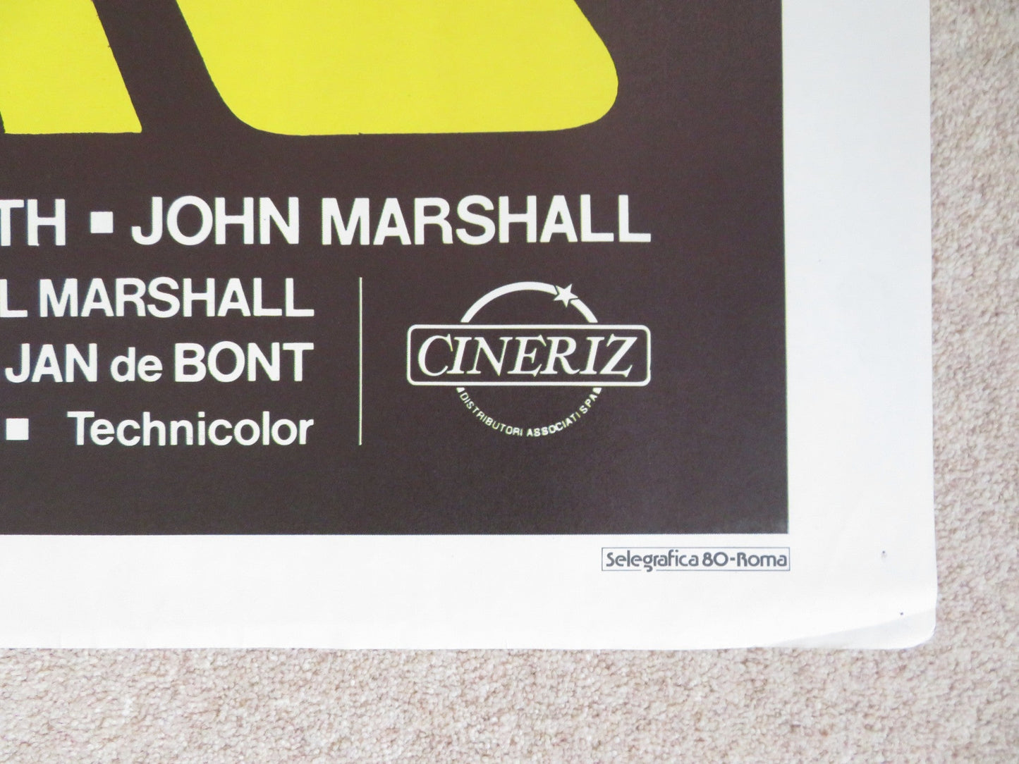 ROAR ITALIAN 2 FOGLIO POSTER TIPPI HEDREN NOEL MARSHALL 1981 Rendezvous Cinema Movie posters