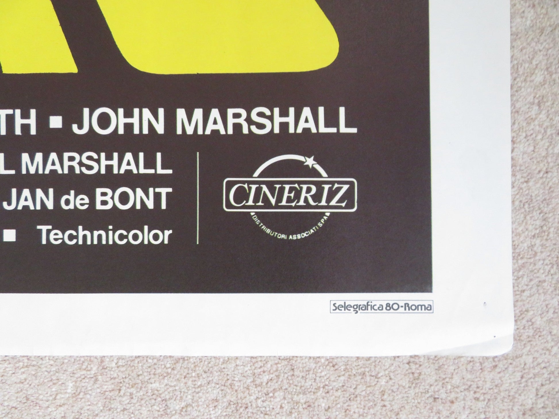 ROAR ITALIAN 2 FOGLIO POSTER TIPPI HEDREN NOEL MARSHALL 1981 Rendezvous Cinema Movie posters