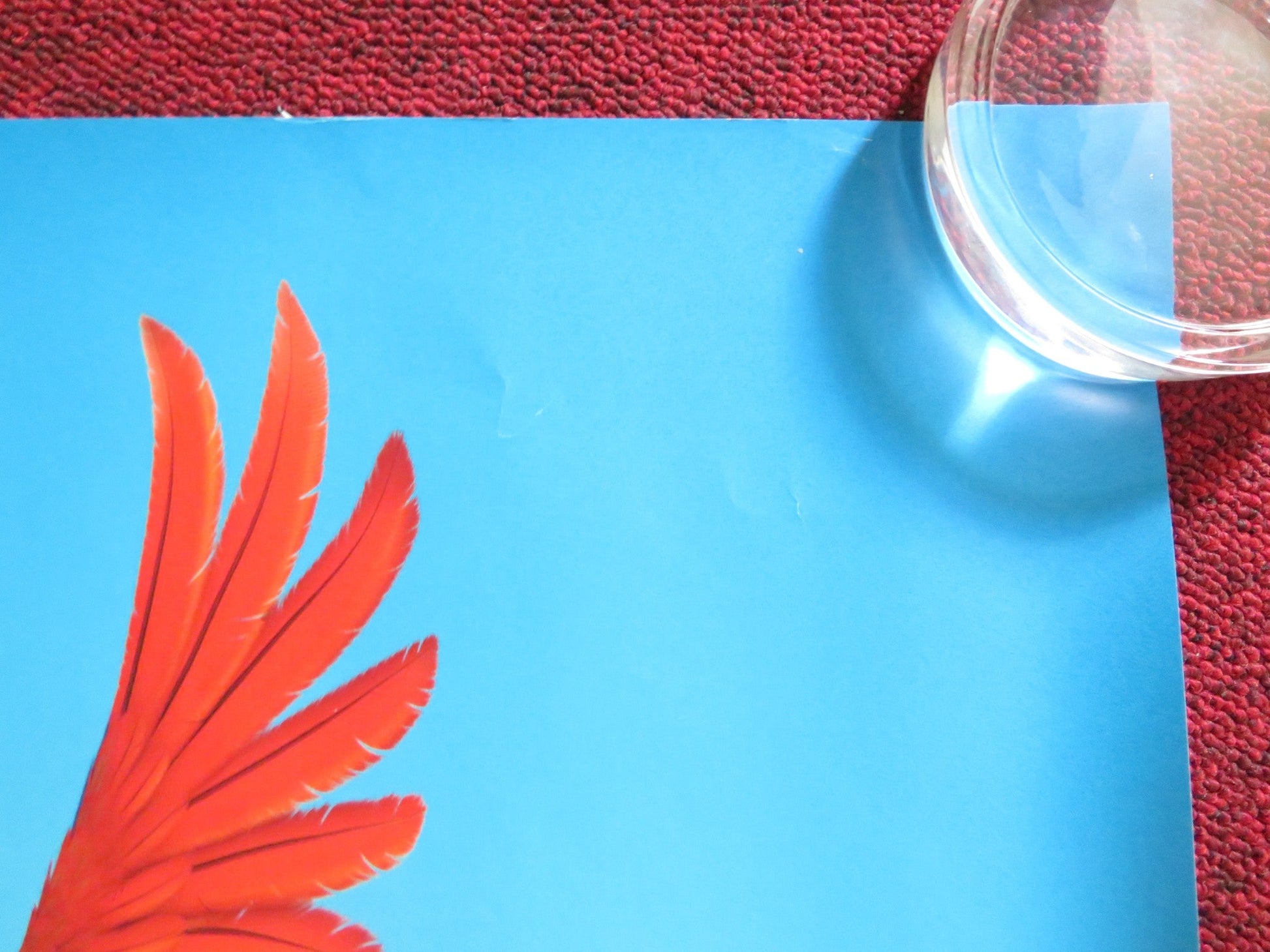 ROBINSON CRUSOE UK QUAD (30"x 40") ROLLED POSTER MATTHIAS SCHWEIGHOFER 2016 Rendezvous Cinema Movie posters