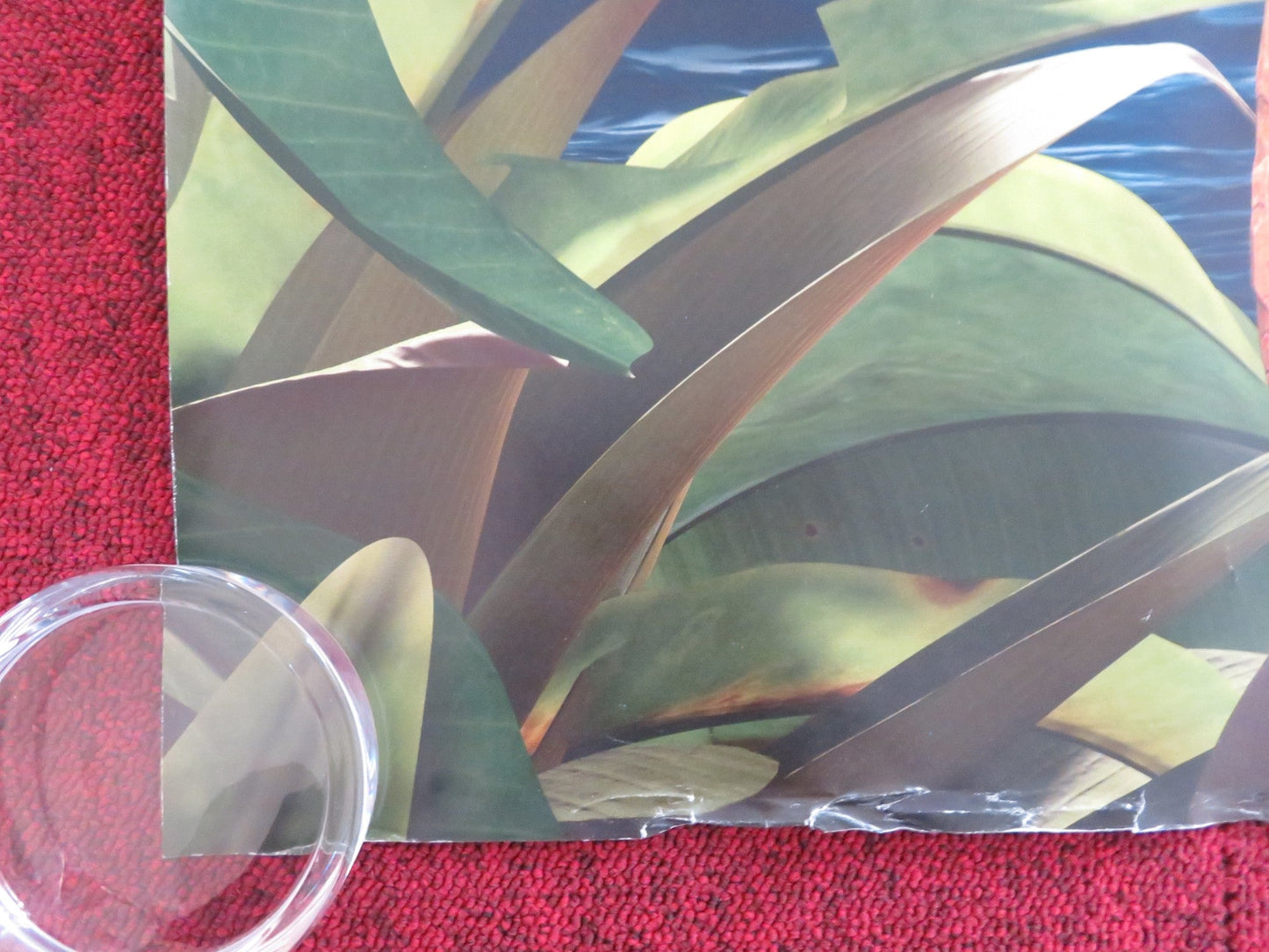 ROBINSON CRUSOE UK QUAD (30"x 40") ROLLED POSTER MATTHIAS SCHWEIGHOFER 2016 Rendezvous Cinema Movie posters