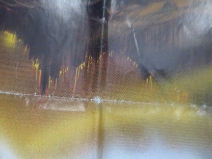 ROBOWAR ITALIAN 2 FOGLIO POSTER REB BROWN CATHERINE HICKLAND 1988 Rendezvous Cinema Movie posters