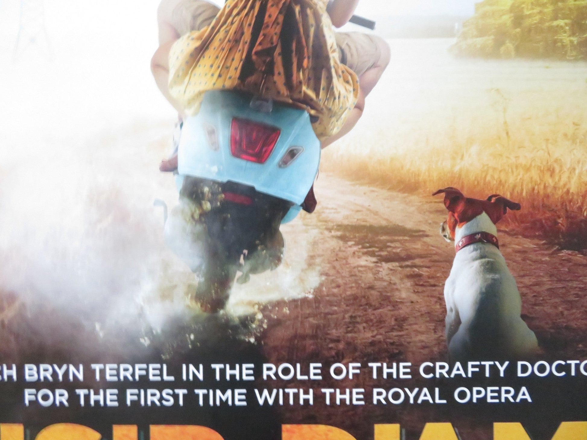 ROH LIVE: L'ELISIR D'AMORE UK QUAD (30"x 40") ROLLED POSTER BRYN TERFEL 2014 Rendezvous Cinema Movie posters