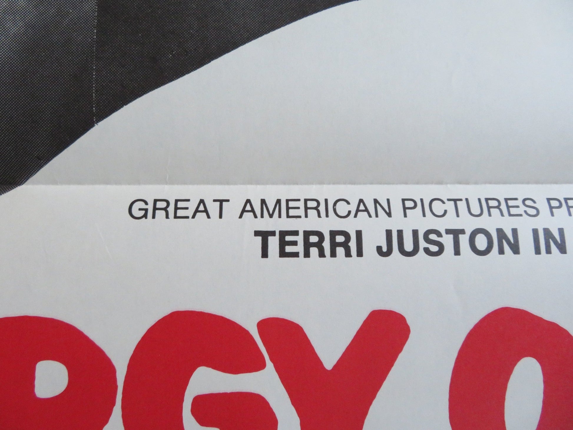 ROOM 11 US TRI FOLDED ONE SHEET ROLLED POSTER TERRI JUSTON RUBI ALLYN 1971 Rendezvous Cinema Movie posters