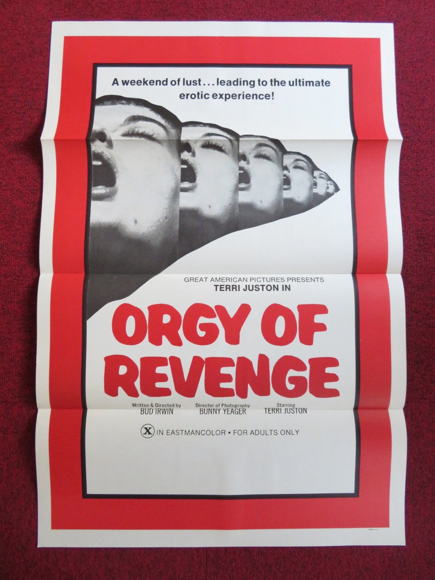 ROOM 11 US TRI FOLDED ONE SHEET ROLLED POSTER TERRI JUSTON RUBI ALLYN 1971 Rendezvous Cinema Movie posters