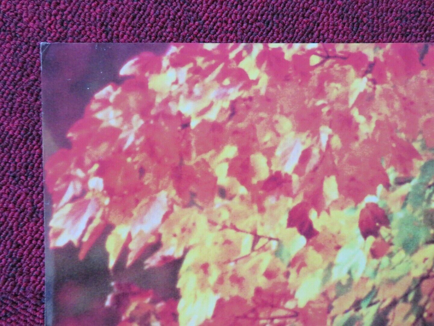 ROOMMATES FOLDED US ONE SHEET POSTER PETER FALK D.B.SWEENEY 1995 Movie posters