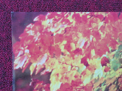 ROOMMATES FOLDED US ONE SHEET POSTER PETER FALK D.B.SWEENEY 1995 Movie posters