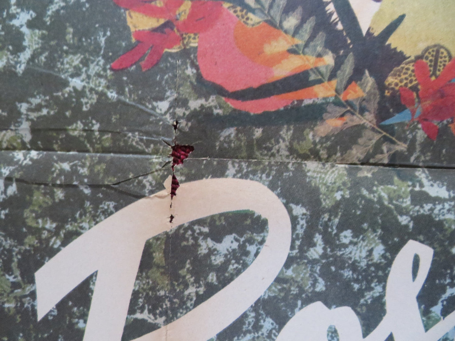 ROSARIO FOLDED MEXICAN POSTER MARGA LOPEZ ENRIQUE LIZALDE 1971 Rendezvous Cinema Movie posters