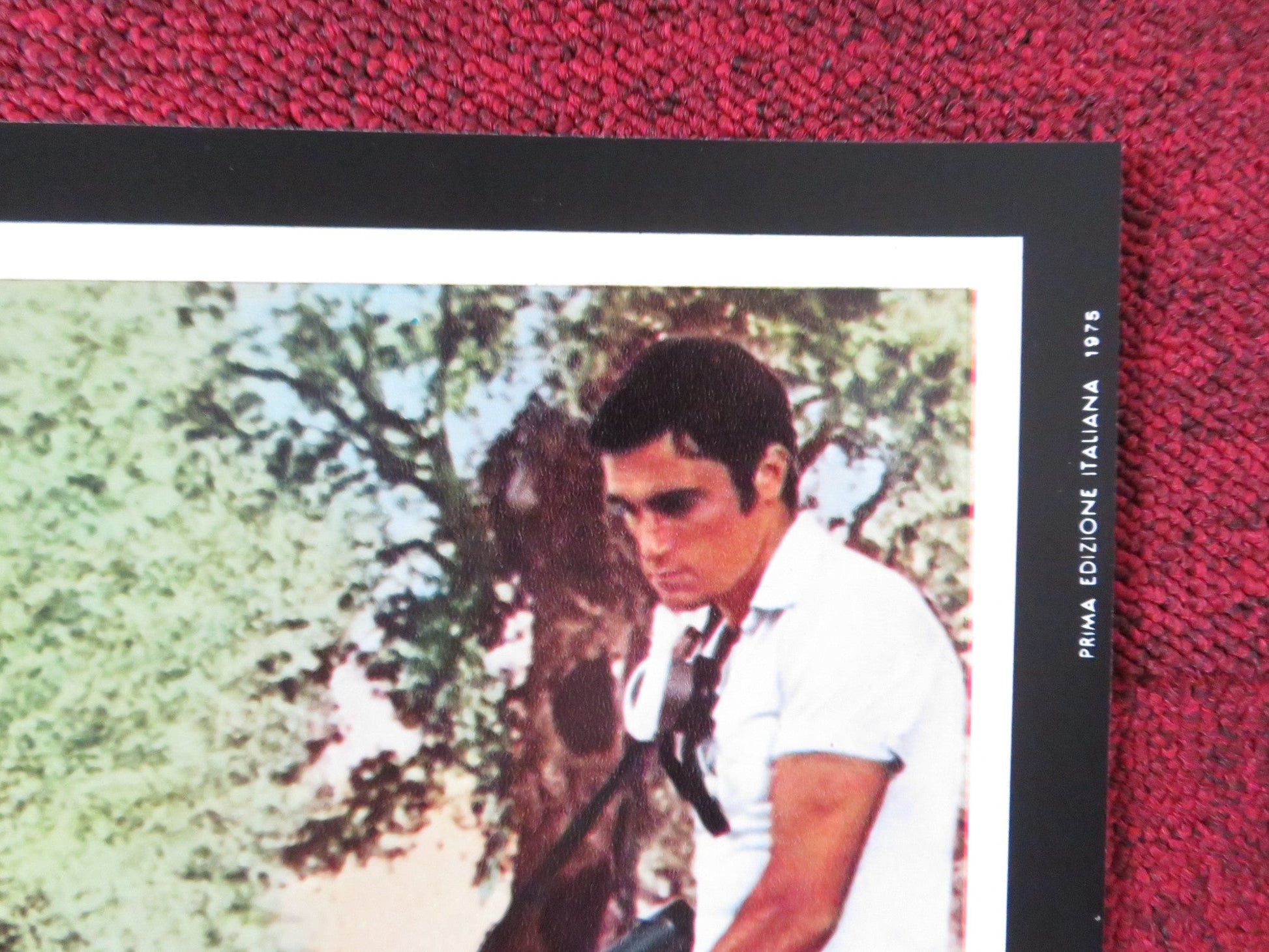 ROSEBUD - D ITALIAN FOTOBUSTA POSTER PETER O'TOOLE RICHARD ATTENBOROUGH 1975 Rendezvous Cinema Movie posters