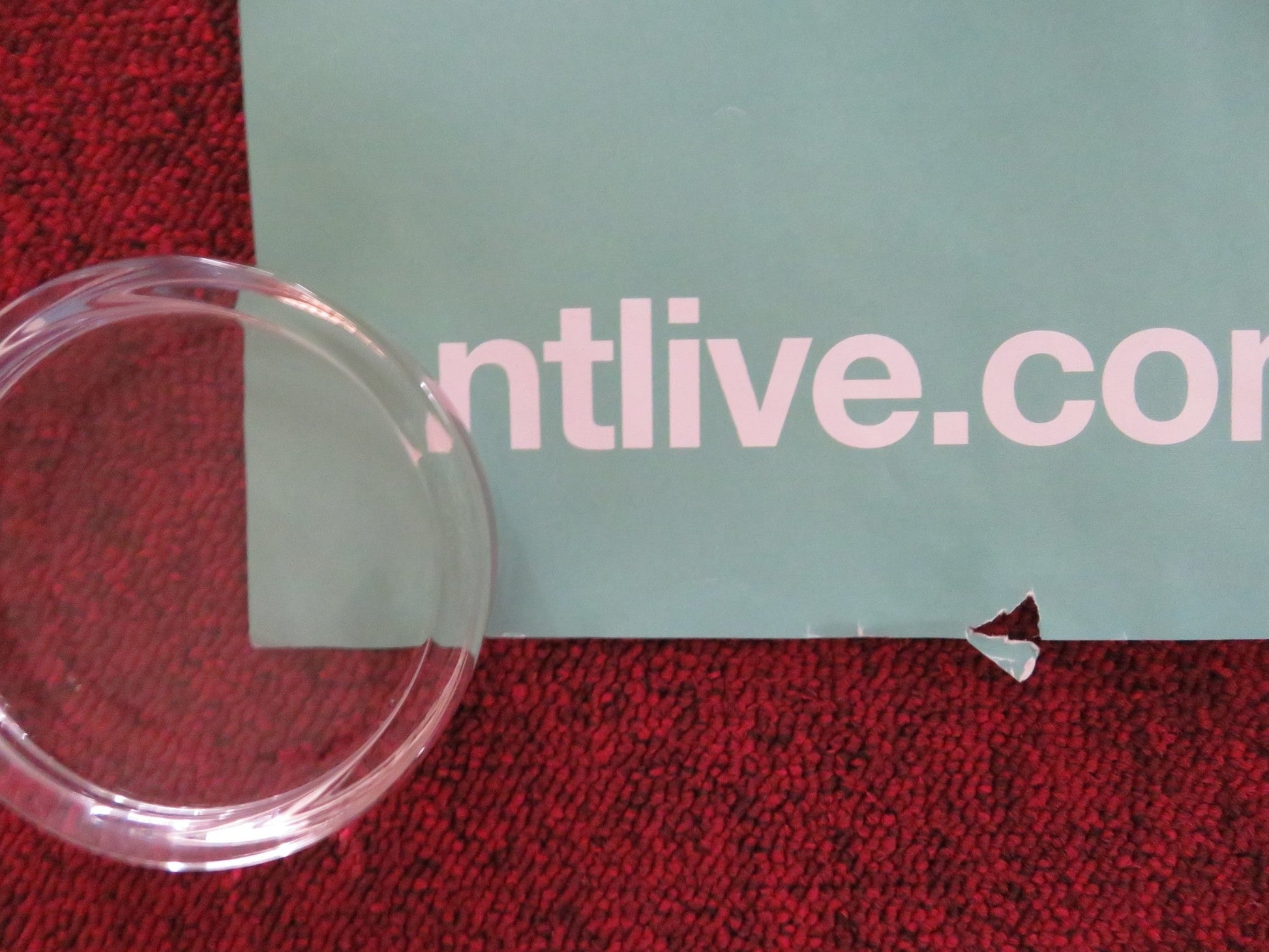 ROSENCRANTZ & THE GUILDENSTERN ARE DEAD UK QUAD ROLLED POSTER D. RADCLIFFE 2017 Rendezvous Cinema Movie posters