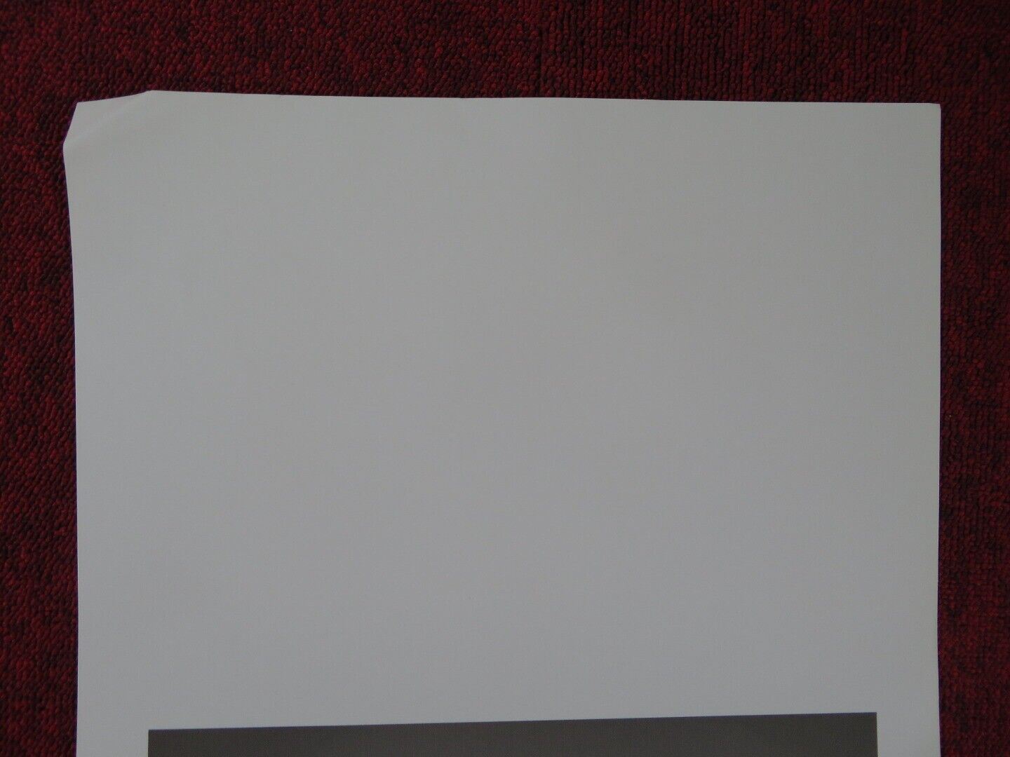 ROUGH NIGHT ITALIAN LOCANDINA (27.5"x13") POSTER SCARLETT JOHANSSON 2017 Movie posters