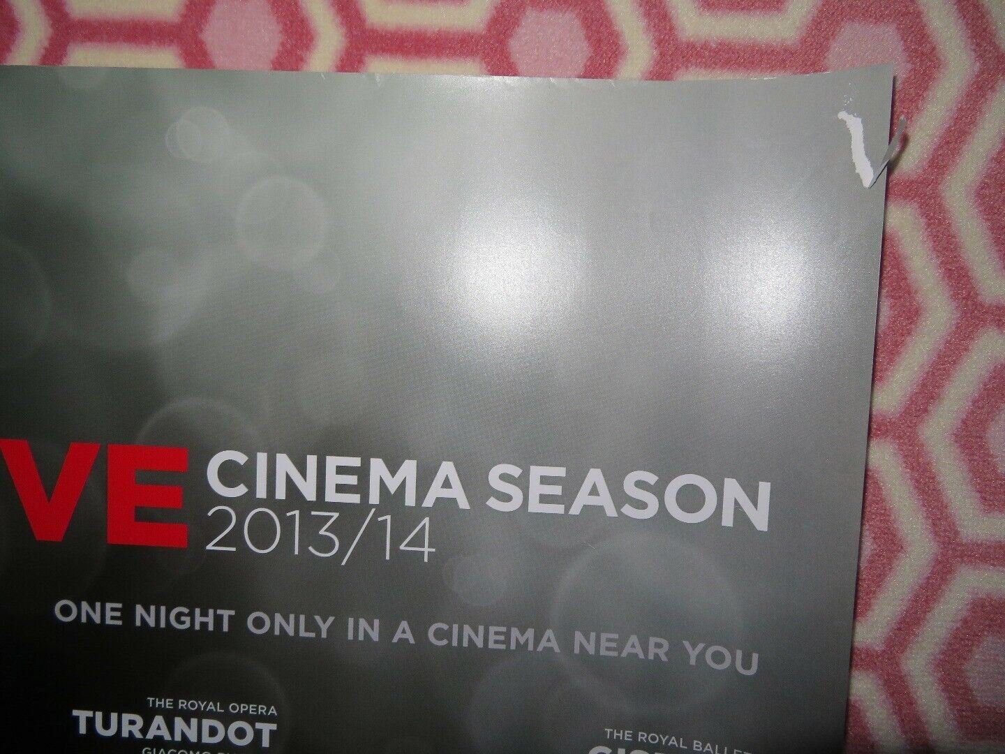 ROYAL OPERA HOUSE LIVE CINEMA SEASON 2013/14 QUAD (30"x 40") ROLLED POSTER Movie posters