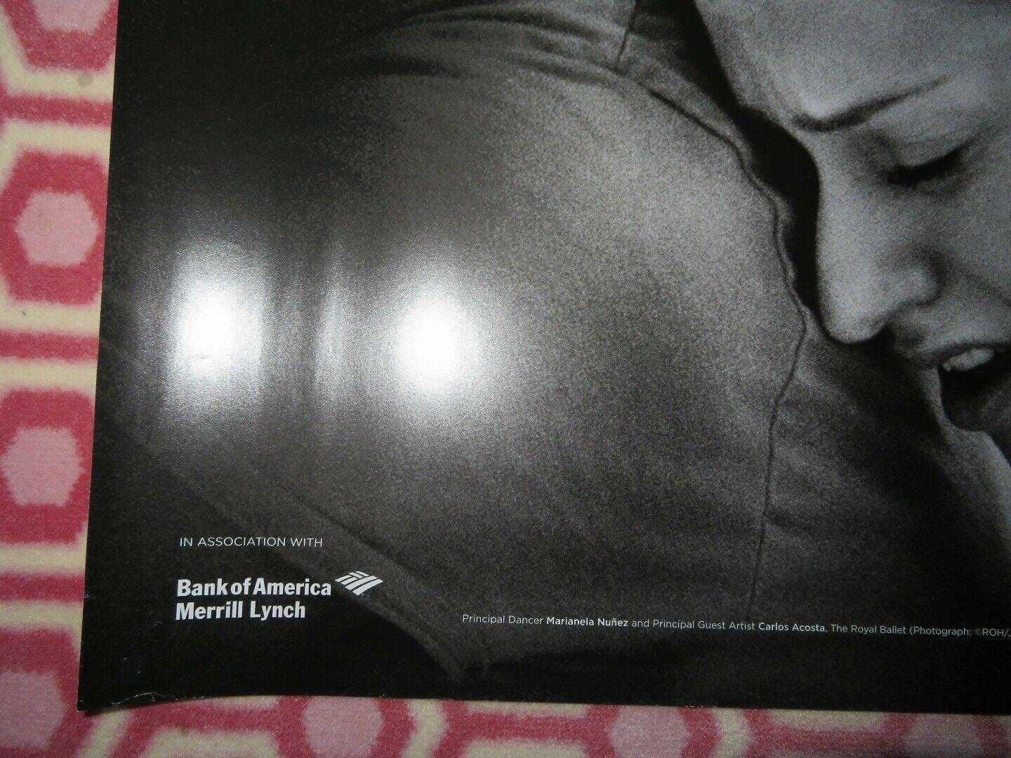 ROYAL OPERA HOUSE LIVE CINEMA SEASON 2013/14 QUAD (30"x 40") ROLLED POSTER Movie posters