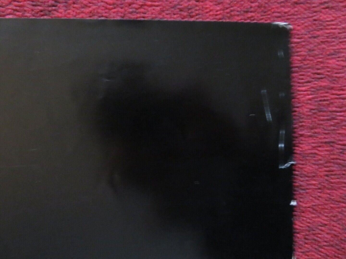 RUBY FOLDED US ONE SHEET POSTER FRANK ORSATTI SHERILYN FENN 1992 Movie posters