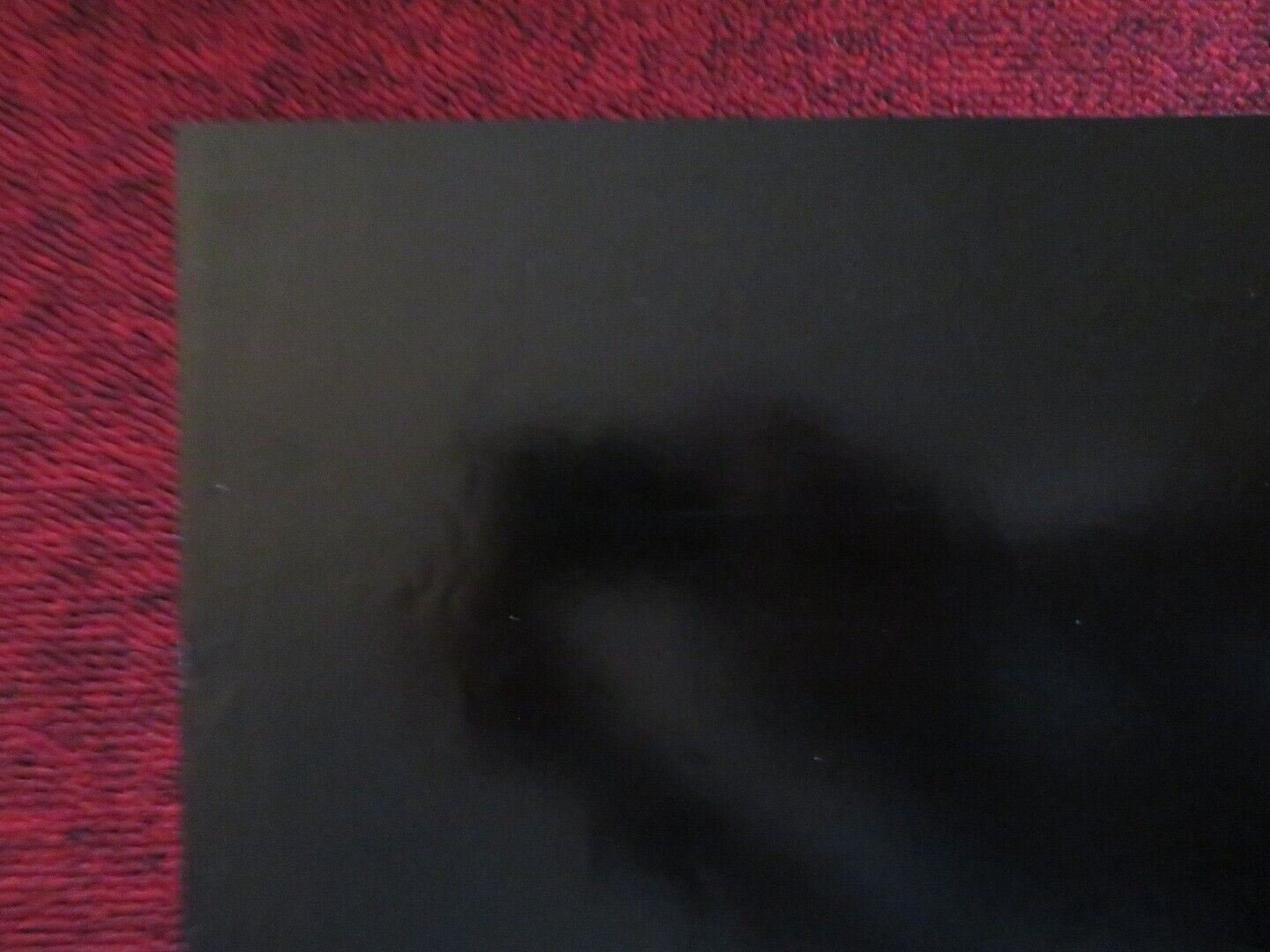 RUBY FOLDED US ONE SHEET POSTER FRANK ORSATTI SHERILYN FENN 1992 Movie posters