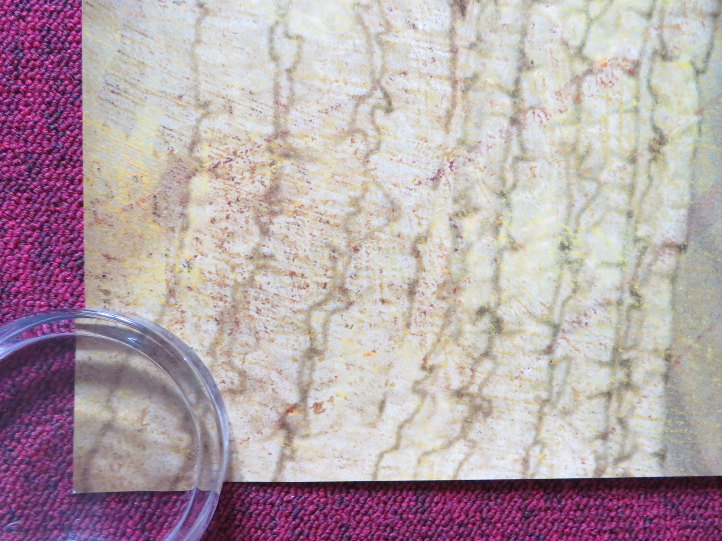 RUDO Y CURSI UK QUAD (30"x 40") ROLLED POSTER GAEL GARCIA BERNAL DIEGO LUNA 2008 Rendezvous Cinema Movie posters