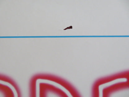 RUMORI DI FONDO ITALIAN LOCANDINA POSTER FRANCESCO DOMINEDO 1996 Rendezvous Cinema Movie posters