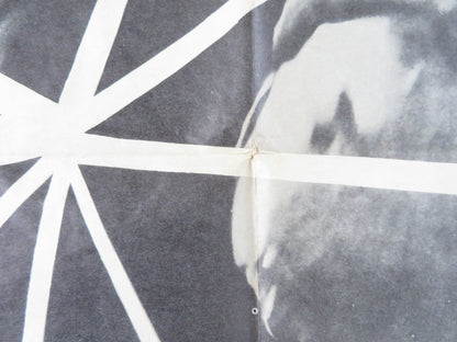 RUNNING TARGET FOLDED US ONE SHEET POSTER DORIS DOWLING ARTHUR FRANZ 1956 Rendezvous Cinema Movie posters