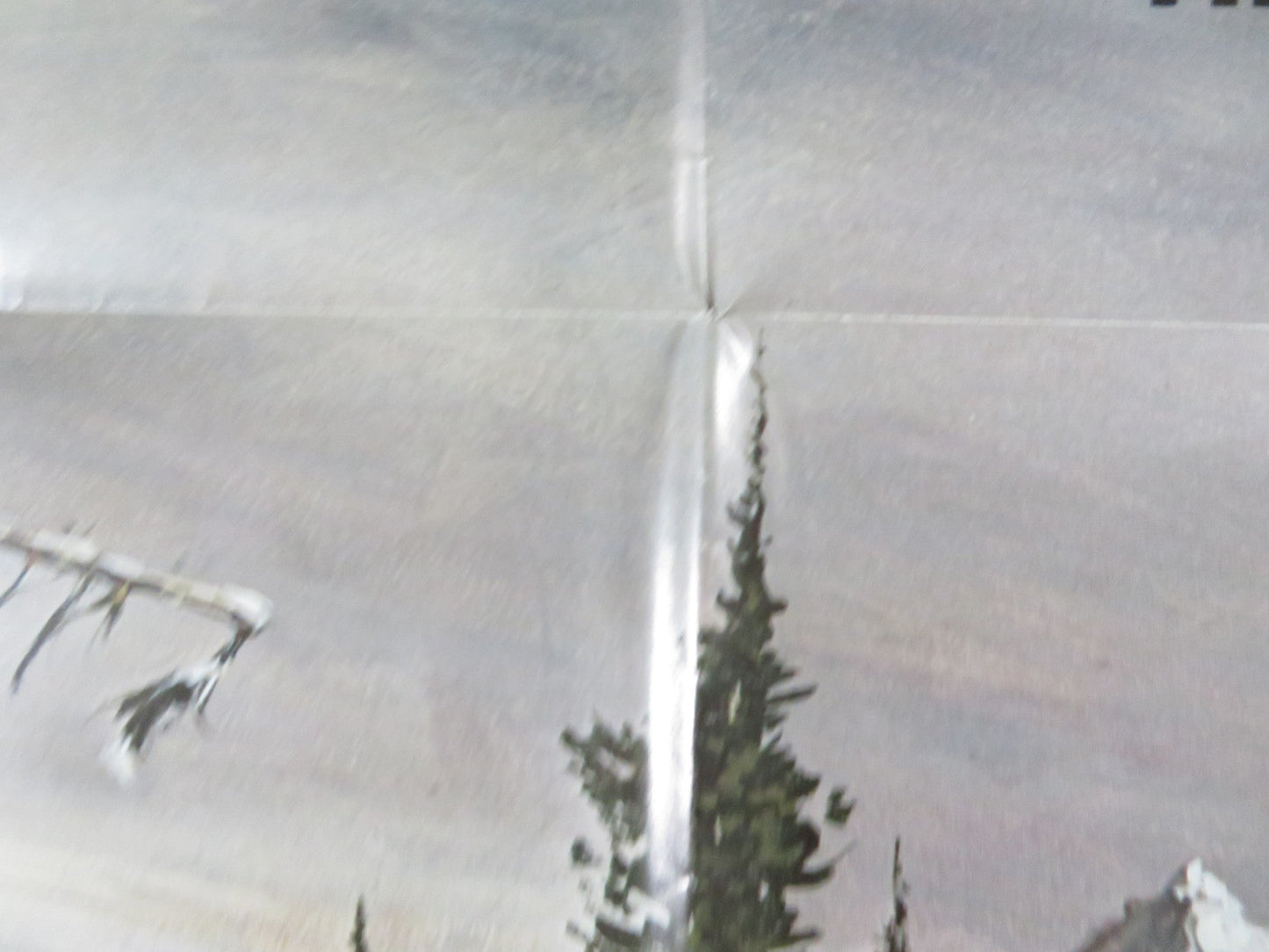 SACRED GROUND FOLDED US ONE SHEET POSTER TIM MCINTIRE L.Q JONES 1983 Rendezvous Cinema Movie posters