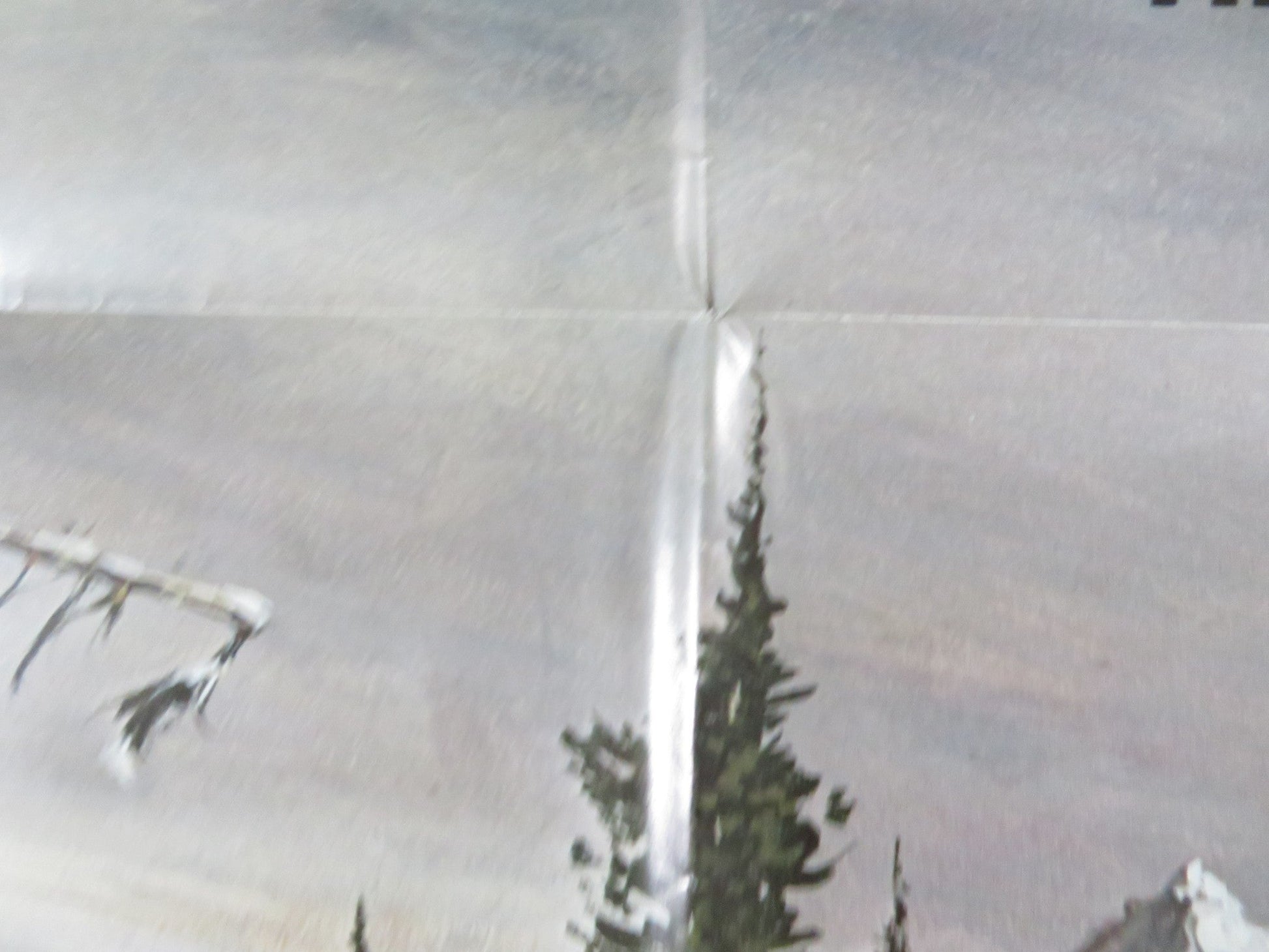 SACRED GROUND FOLDED US ONE SHEET POSTER TIM MCINTIRE L.Q JONES 1983 Rendezvous Cinema Movie posters