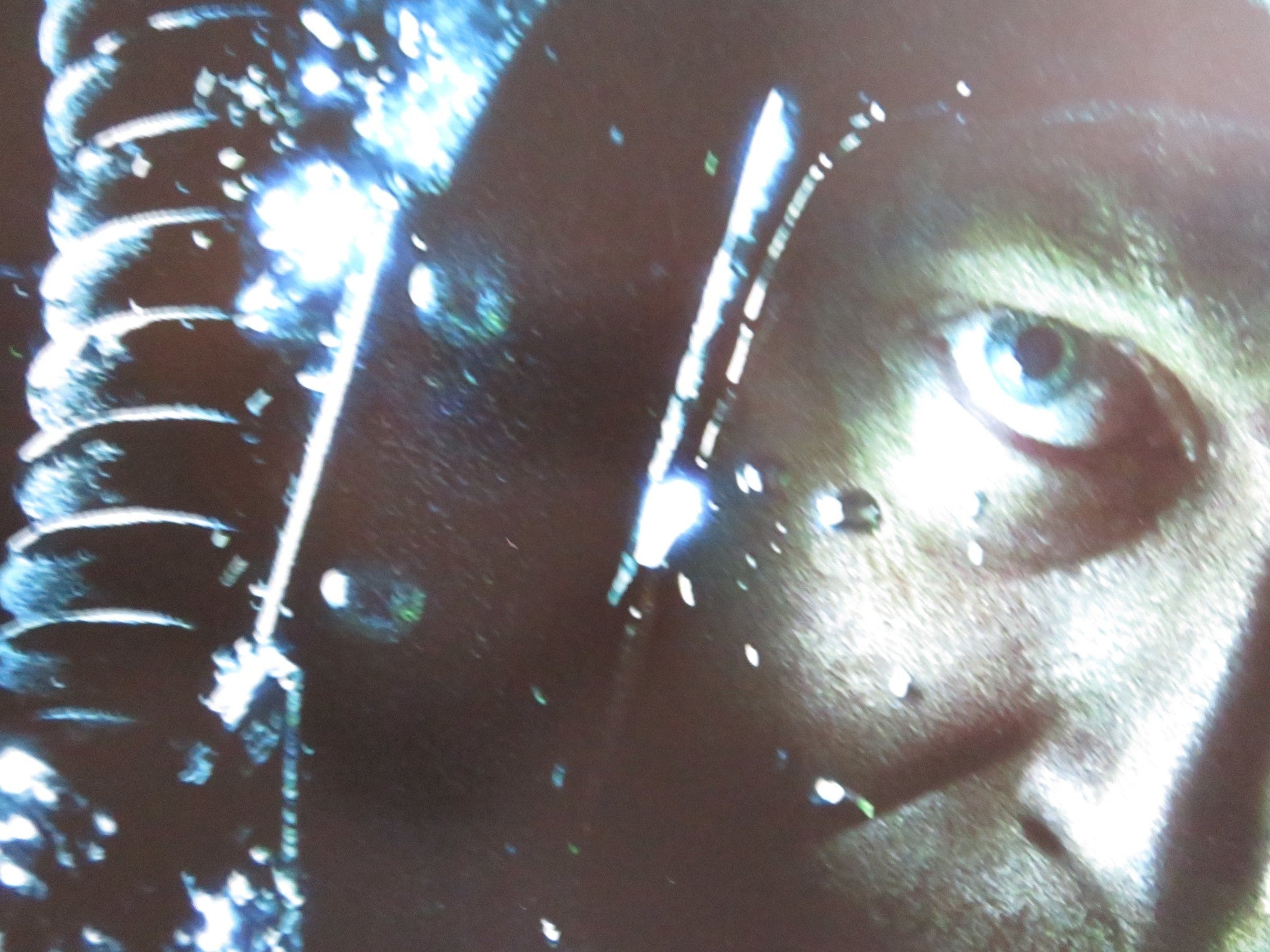 SANCTUM US ONE SHEET ROLLED POSTER RICHARD ROXBURGH IOAN GRUFFUDD 2011 Rendezvous Cinema Movie posters