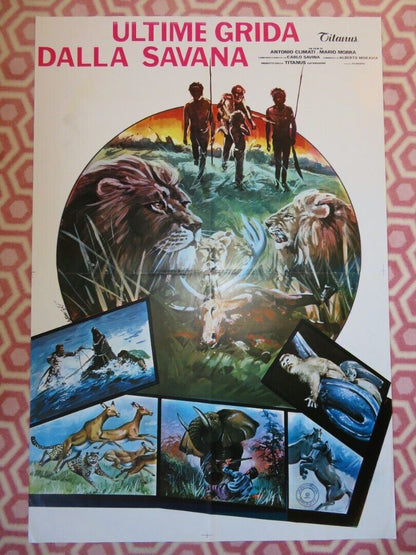 Savage Man Savage Beast (27"X 39") ITALIAN ROLLED POSTER 1975 ANTONIO CLIMATI - Rendezvous Cinema