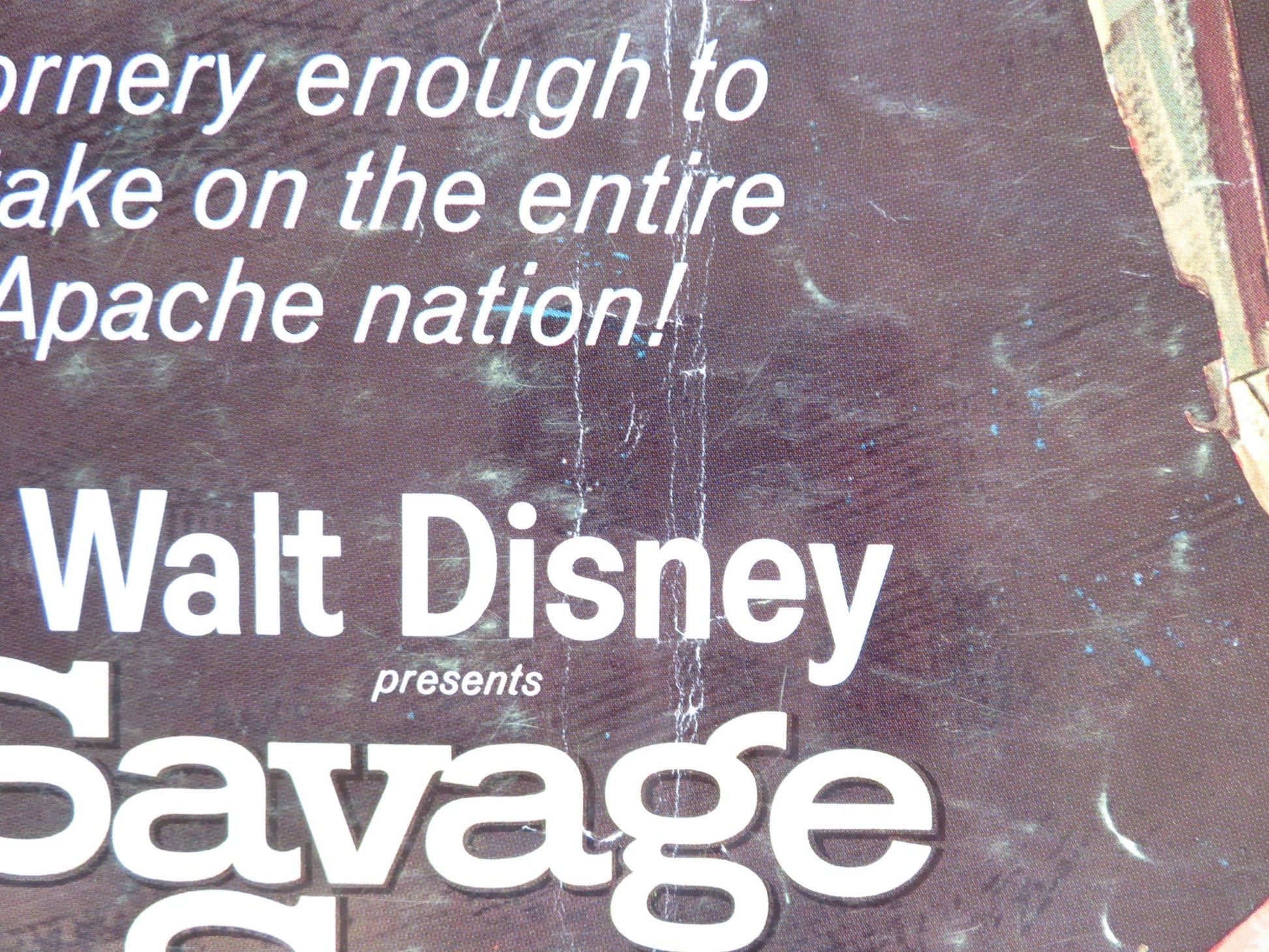 SAVAGE SAM US HALF SHEET (22"x 28") POSTER DISNEY BRIAN KEITH TOMMY KIRK 1963 Rendezvous Cinema Movie posters