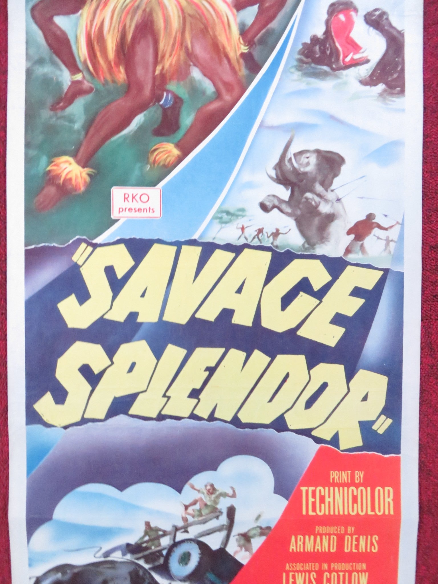 SAVAGE SPLENDOR US INSERT (14"x 36") POSTER ARMAND DENIS LEWIS COTLOW 1949 Rendezvous Cinema Movie posters