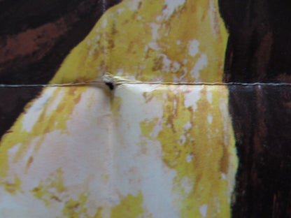 SCALAWAG / PEG LEG, MUSKET AND SABRE US ONE SHEET POSTER KIRK DOUGLAS 1973 Movie posters