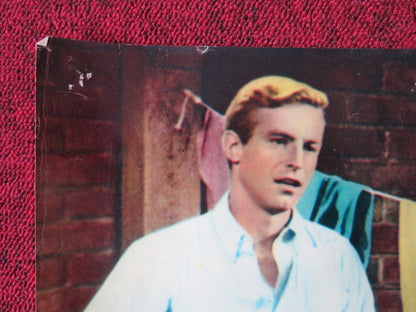 SCANDALE IN SOCIETA/ Youngblood Hawke - A ITALIAN FOTOBUSTA POSTER 1964 - Rendezvous Cinema