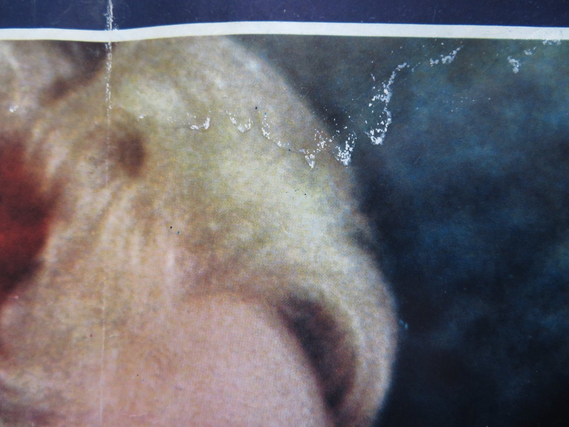 SCANDALO AL SOLE / A SUMMER PLACE - B ITALIAN FOTOBUSTA POSTER R EGAN 1959 Rendezvous Cinema Movie posters