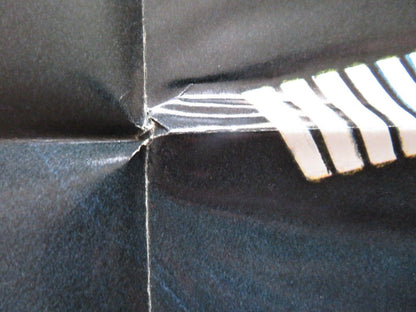 SCARED TO DEATH US ONE SHEET POSTER JOHN STINSON DIANA DAVIDSON 1980 - Rendezvous Cinema