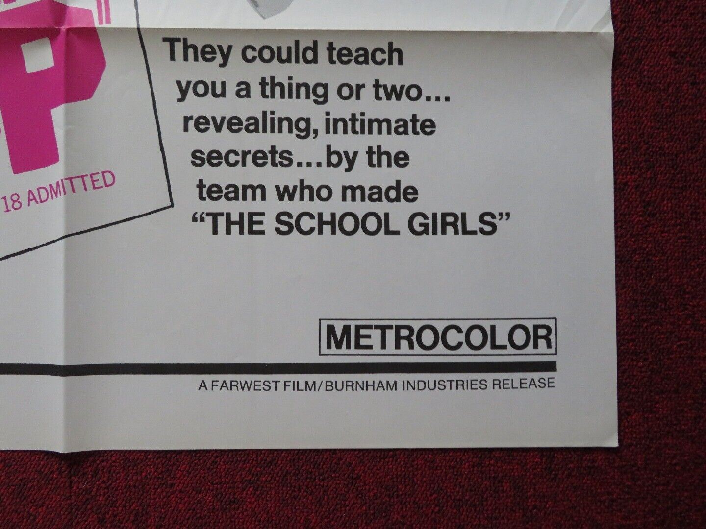 SCHOOL GIRLS GROWING UP FOLDED US ONE SHEET POSTER GERD ARNAU 1972 Rendezvous Cinema Movie posters